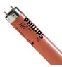 Philips MASTER TL-D 18W - Red | 60cm